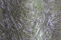 Brearton fibreglass roof work